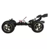 Truggy Amewi Raven Photo 5