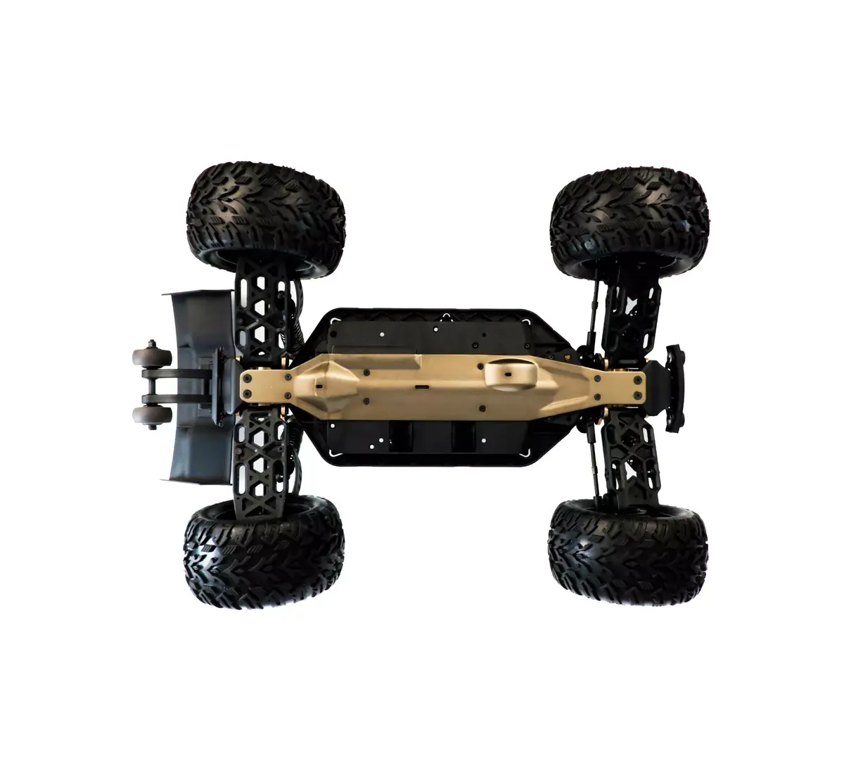 Truggy Amewi Raven Photo 8