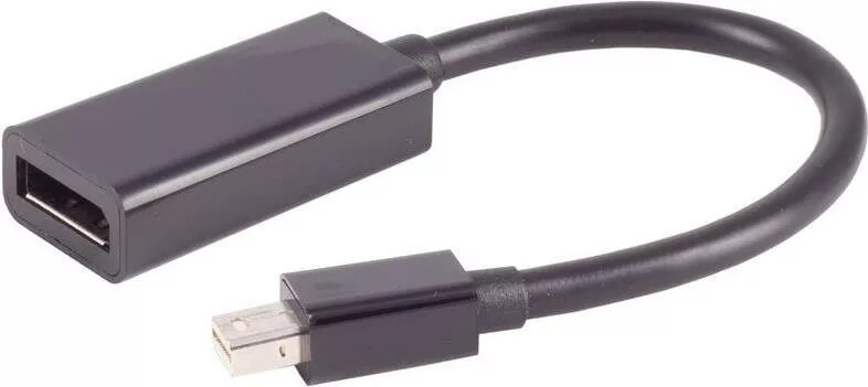 Mini DisplayPort 1.2 adapteris ShiverPeaks