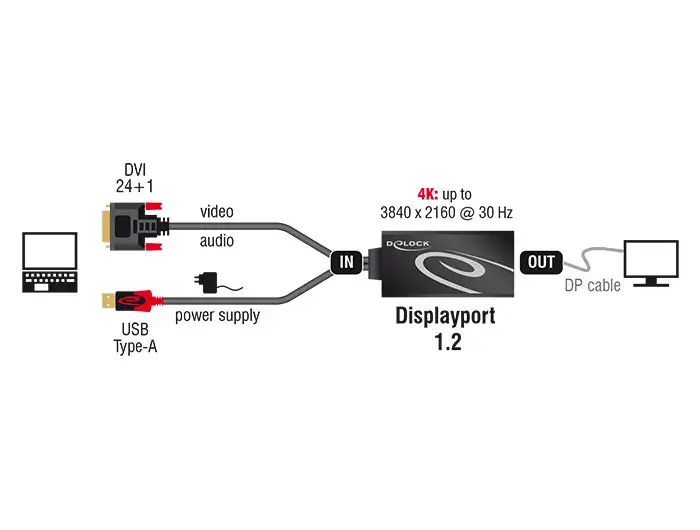 Kabelis DVI 24+1 + USB-A/Displayport 20p DeLOCK Photo 3