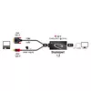 Kabelis DVI 24+1 + USB-A/Displayport 20p DeLOCK Photo 3