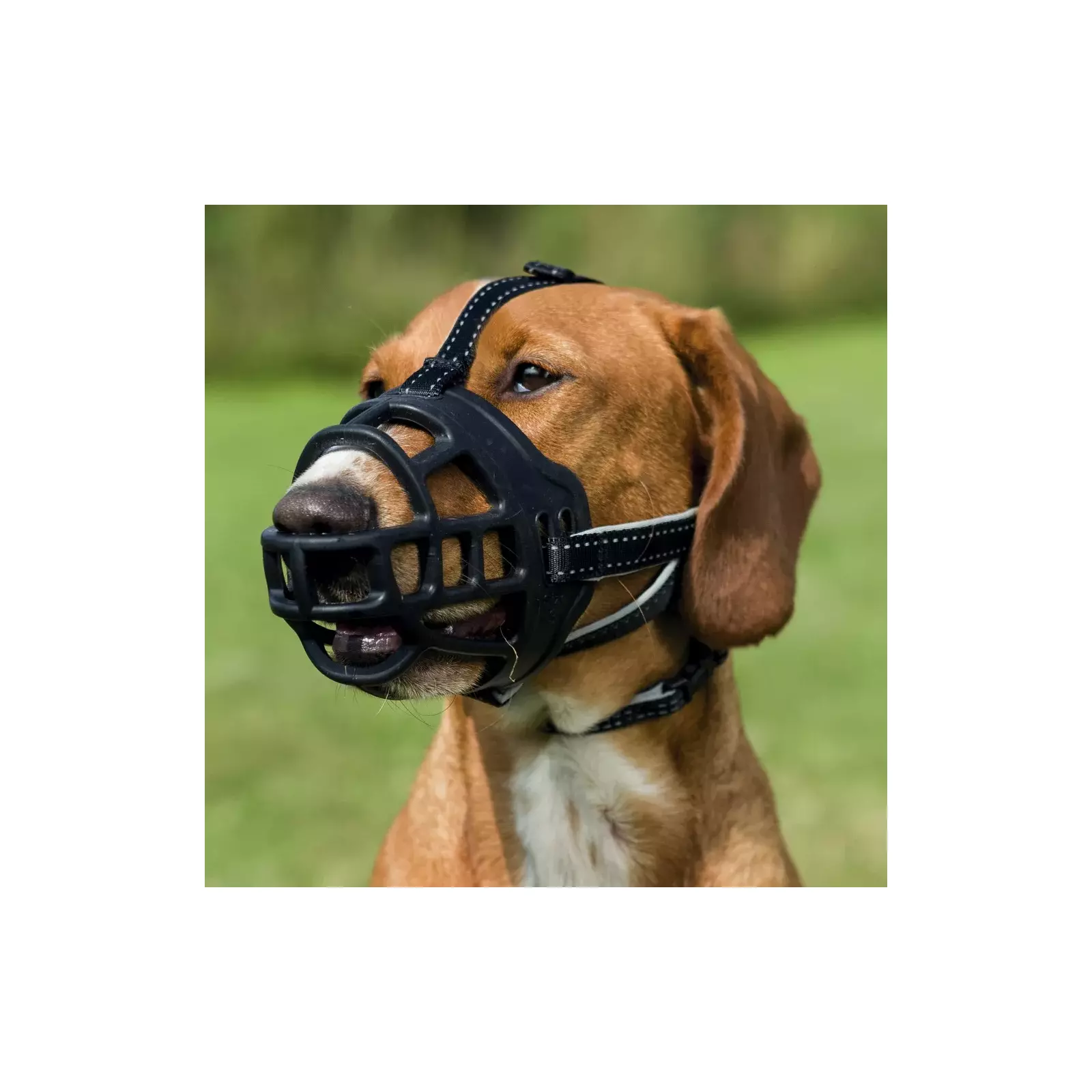 Trixie muzzle loop outlet review