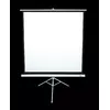 Трипод экран для проекции Elite Screens T85NWS1 Photo 2