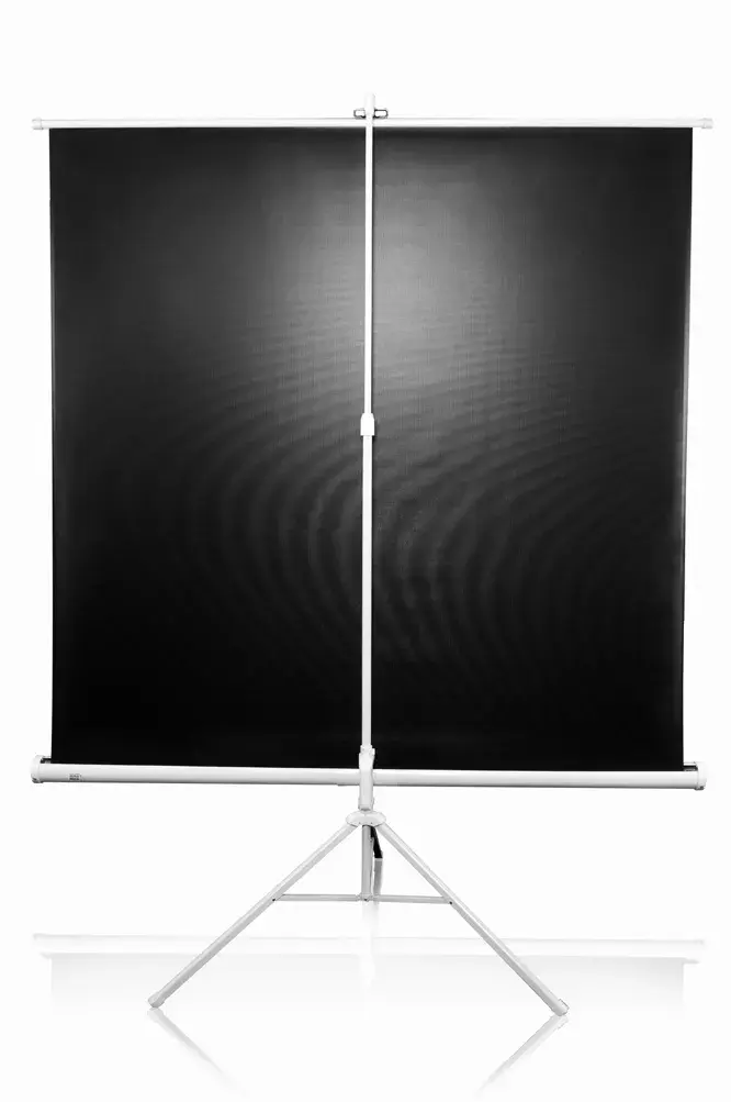 Триподный экран для проекции Elite Screens T99NWS1 Photo 4