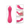 Vibrators CALEXOTICS PIXIES TEASER PINK Photo 3