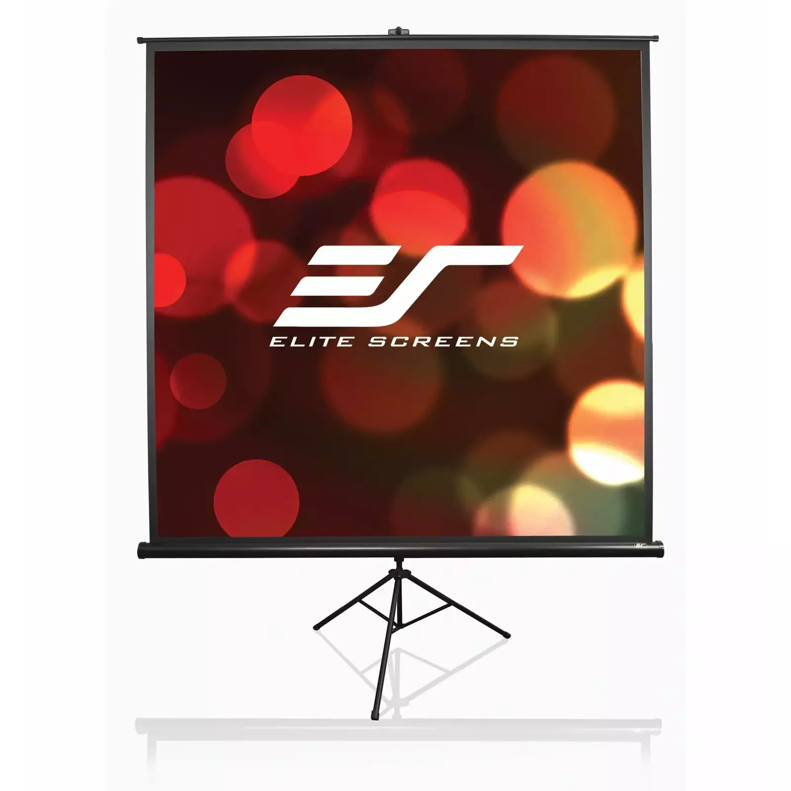 elite screens T113UWS1 Photo 5