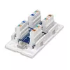 Electrical Junction Box Intellinet 504904 Photo 2