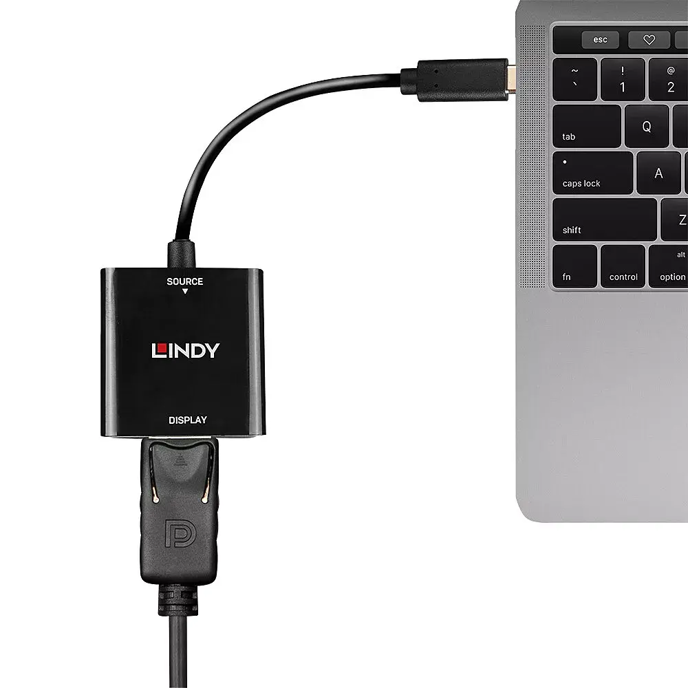 Переходник USB Type C на DisplayPort Lindy 4K144 Photo 4