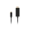 LANBERG USB-C to DisplayPort adapter CA-CMDP-10CU-0005-BK Photo 2