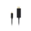 LANBERG USB Type-C на DisplayPort адаптер CA-CMDP-10CU-0010-BK Photo 2