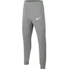 NIKE Park 20 Fleece Pant Junior CW6909 071 Photo 2