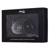 Flexi Glam Splash Crystal S retractable leash 3 m Photo 3
