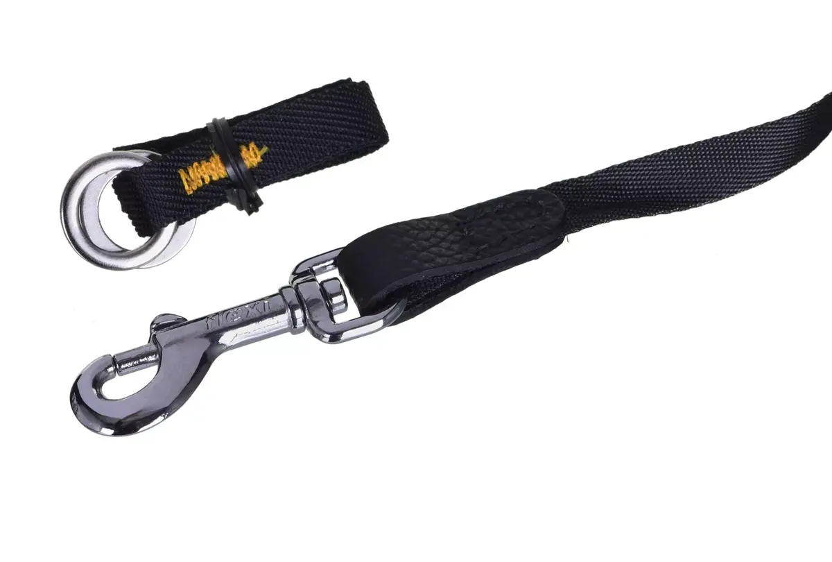 Flexi Glam Splash Crystal S retractable leash 3 m Photo 4