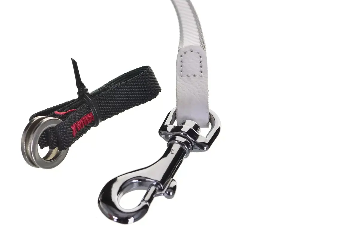 Retractable Dog Leash Flexi Glam Splash Leaf M 5 m Photo 3