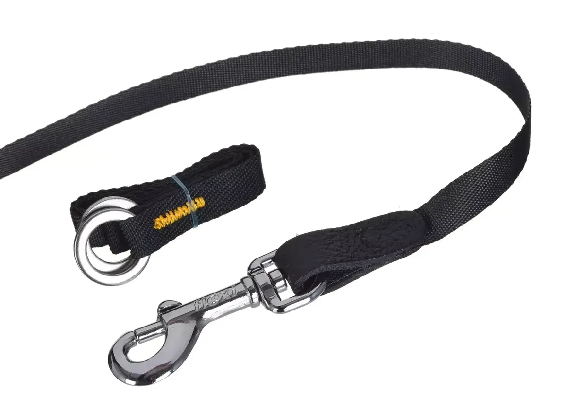 Retractable dog leash Flexi Glam Splash Mystic S 3 m Photo 2
