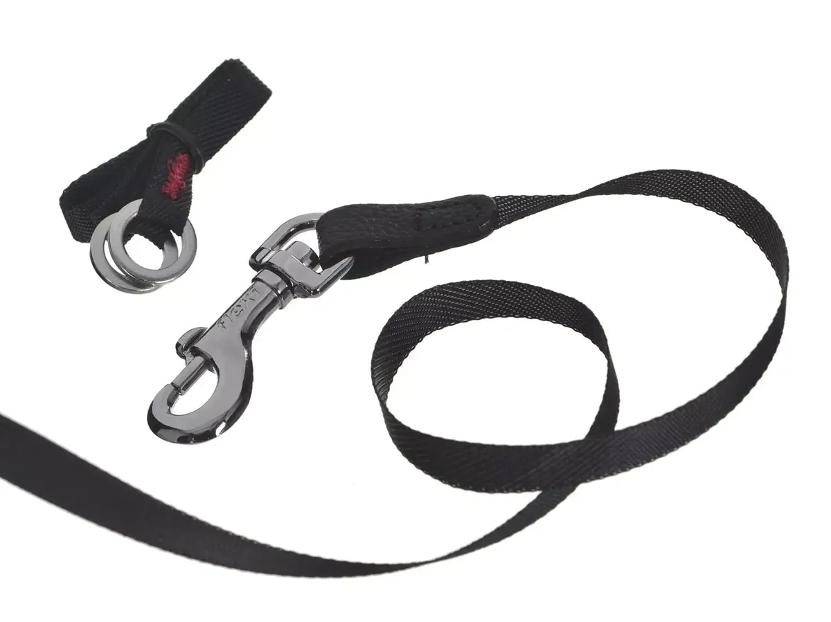 Flexi Glam Splash Mystic S retractable leash, 3 m Photo 2