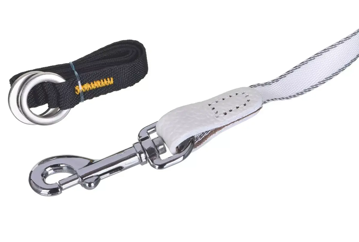 Flexi Glam Splash Orient S retractable leash 3 m Photo 4