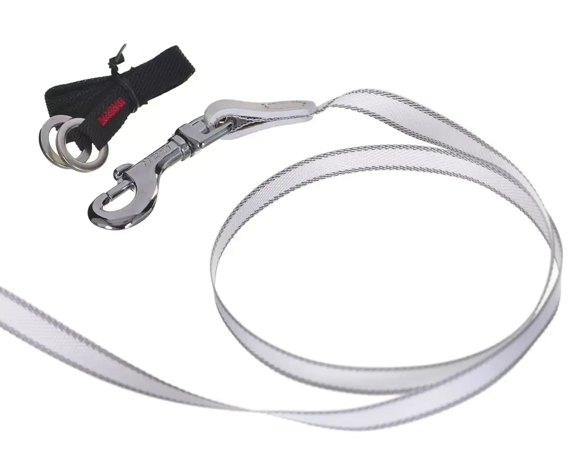 Retractable leash Flexi Glam Splash Pink M 5 m Photo 2