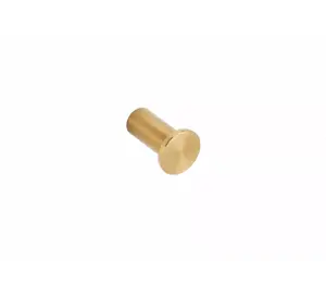 Wall hook kfa² 1-hook 3 cm gold model 864-020-31