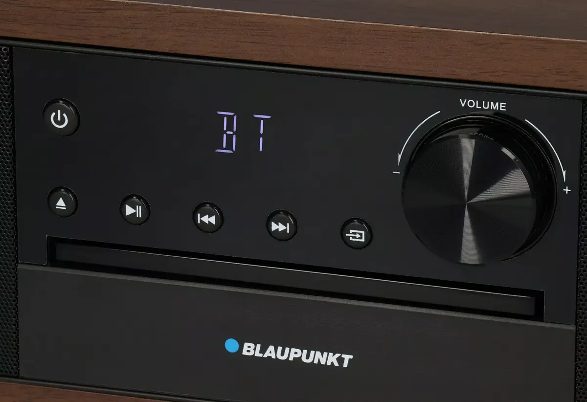 BLAUPUNKT MS22BT Bluetooth Portable Speaker Photo 4