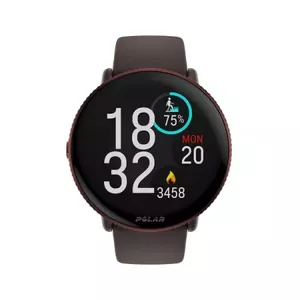 Smartwatch Polar Ignite 3 Brown