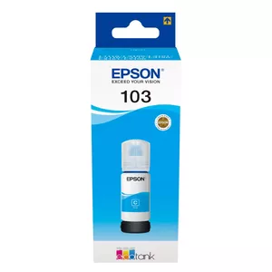 Ink Cartridge Epson C13T00S24A10 Black