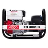 Портативный генератор Fogo FH3001R 2,7 кВт Photo 3