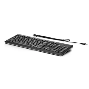 HP USB Keyboard for PC