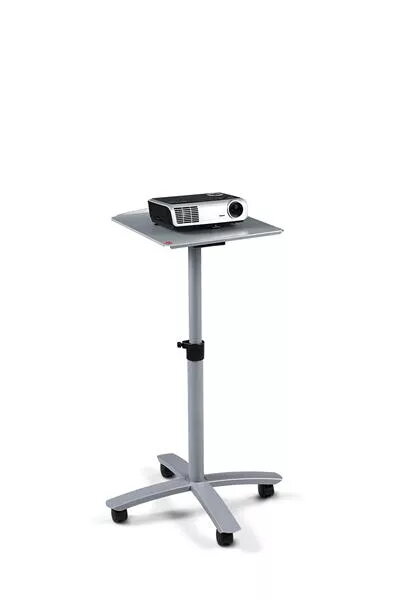 Projector Mounts