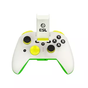 Gamepad RiotPWR RP1925ESL USB Type-C Wired Green White Yellow