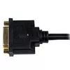 HDMI to DVI-D Video Cable Adapter StarTech.com HDDVIMF8IN Photo 4