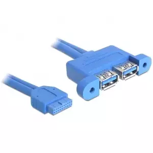 USB Cable DeLOCK 82941 USB 3.2 Gen 1 0.45 m 2 x USB A Blue