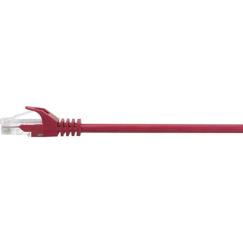 Tīkla kabelis Renkforce RF-5044012 Photo 4
