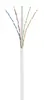 Renkforce RF-5043884 Cat6 U/UTP 2 m kabelis Photo 3