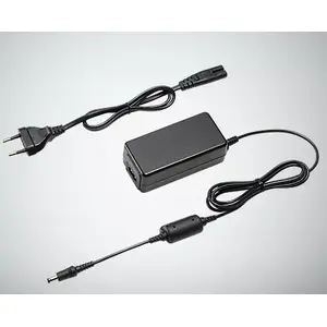 Power Adapter Panasonic DMW-AC10E