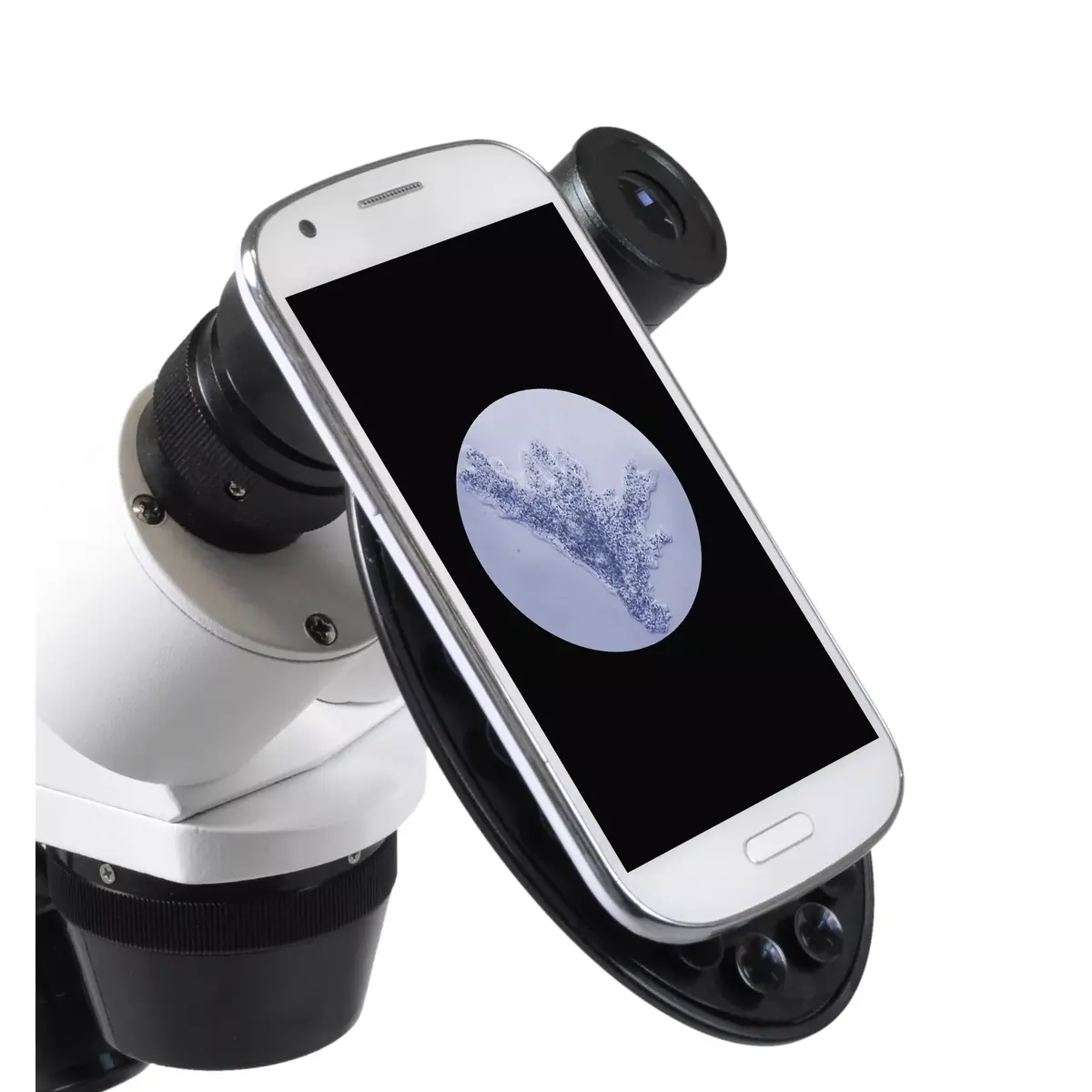 Оптический микроскоп Bresser Optics ERUDIT ICD 40x Photo 2