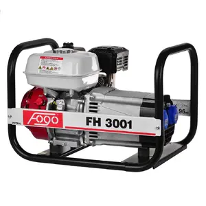 Fogo FH3001 Generator Set 3.0 kW Power Output