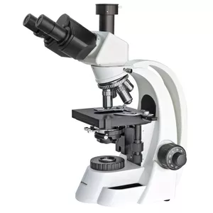Mikroskopi