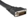 Cable StarTech.com 8in LFH 59 Male to Dual Female VGA DMS 59 Photo 2