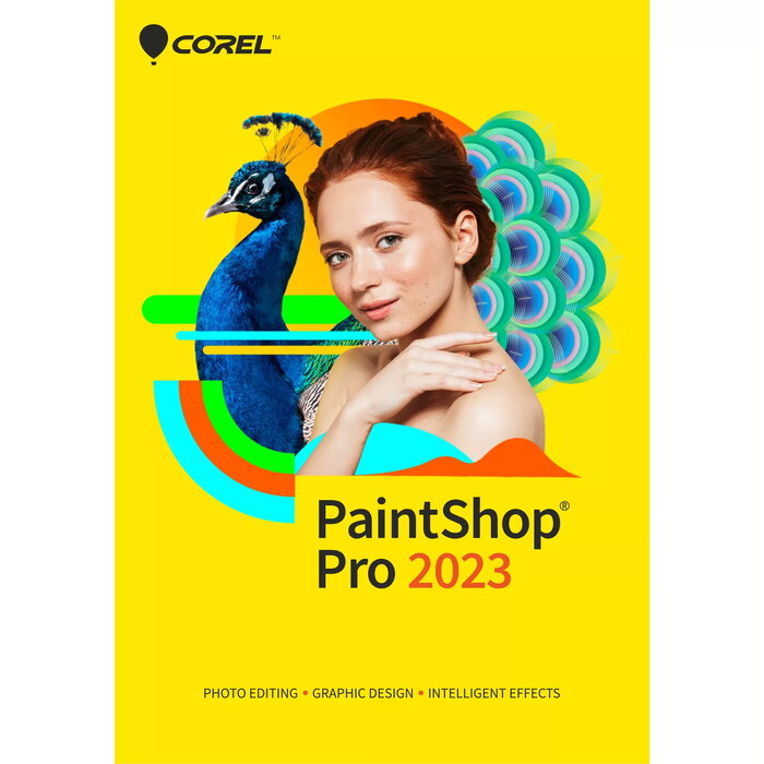 Corel PaintShop Pro 2023 ESDPSP2023ML Photo 1
