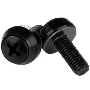 Screw StarTech.com M6 x 12mm - Mounting Screws - 100 Pack Black