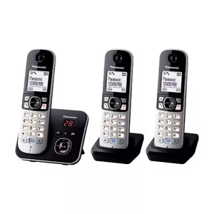 DECT телефон Panasonic KX-TG6823GB
