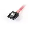 SAS Cable StarTech.com SAS8087S4100 Photo 3