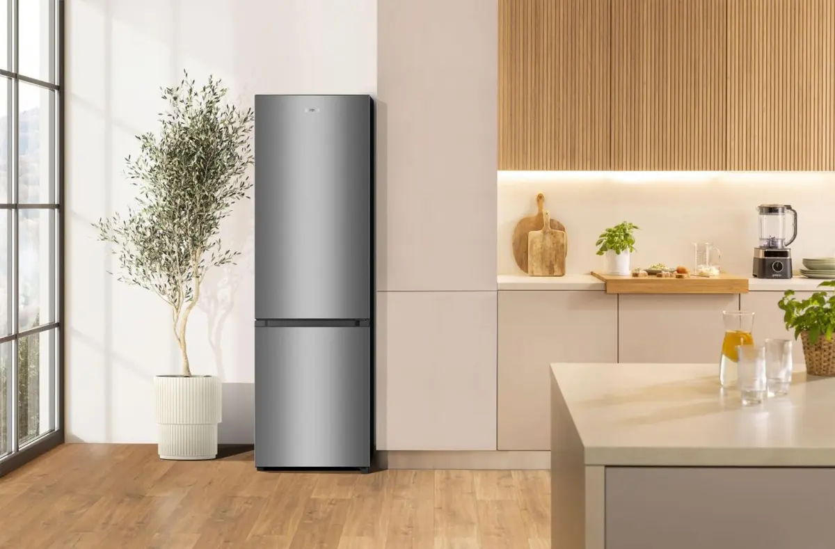 Холодильник с морозильной камерой Gorenje RK4182PS4 Photo 8