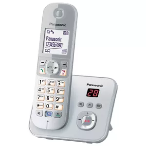 DECT телефон Panasonic KX-TG6821GS