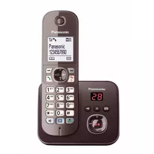 DECT телефон Panasonic KX-TG6821GA
