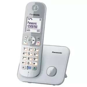 DECT телефон Panasonic KX-TG6811GS