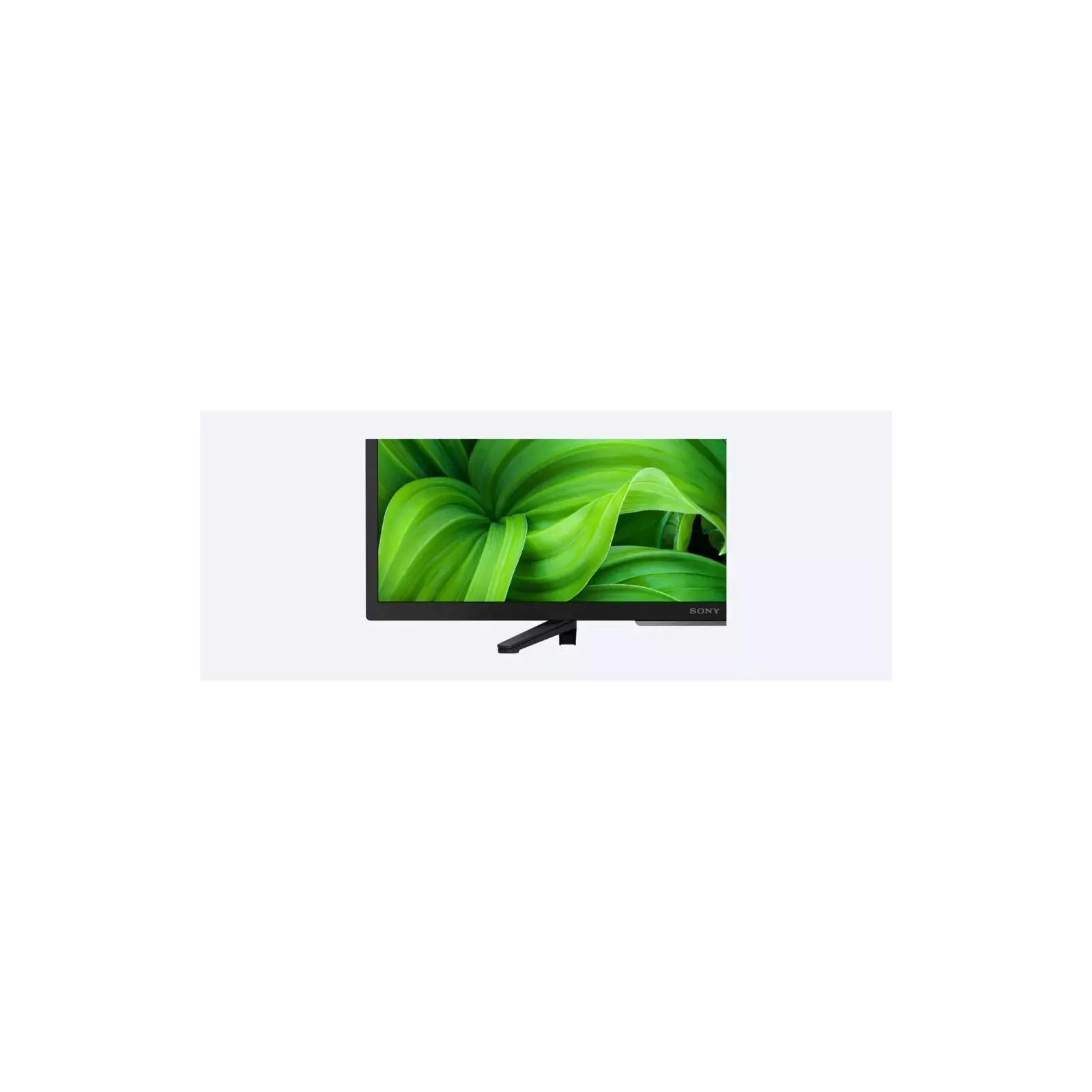 Sony KD32W800P TV Photo 5