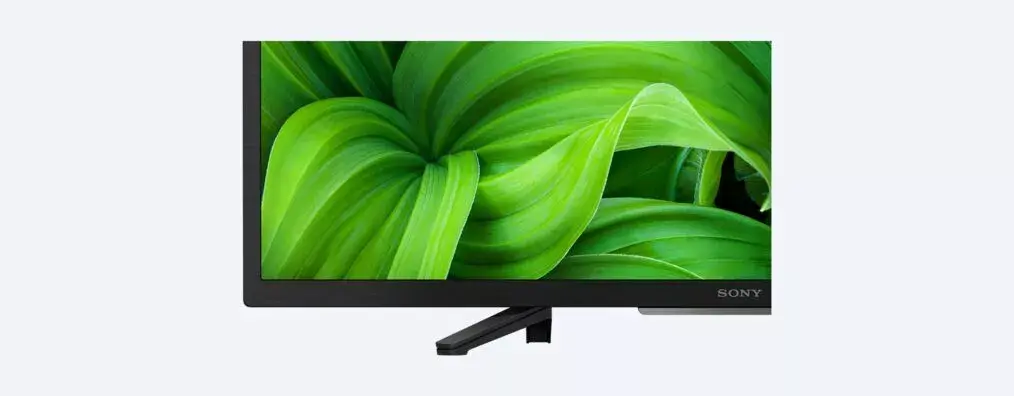 Телевизор Sony KD32W800P Photo 5