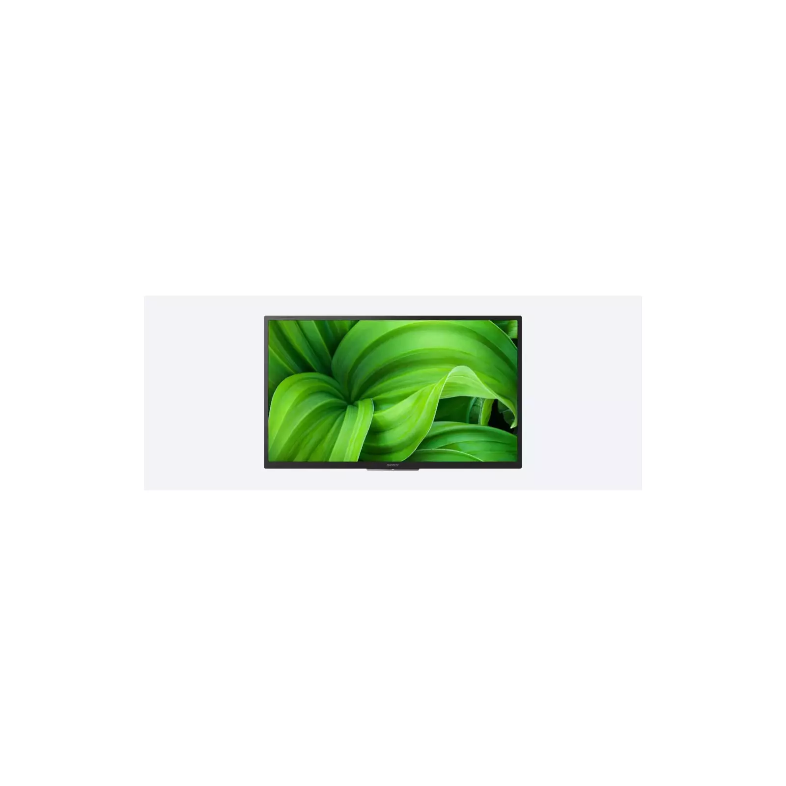 Sony KD32W800P TV Photo 6
